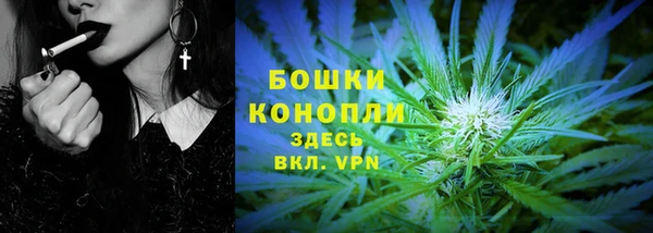 шишки Алзамай