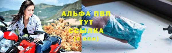шишки Алзамай
