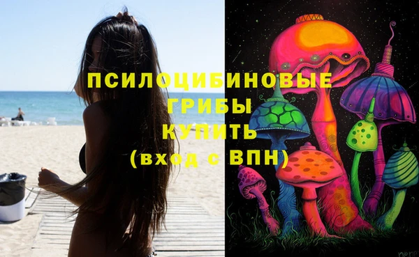 амфетамин Алексеевка