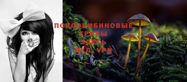 шишки Алзамай
