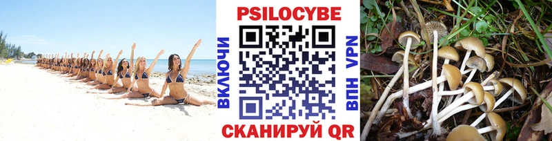 Галлюциногенные грибы Magic Shrooms Строитель